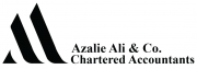 Accounting for SME